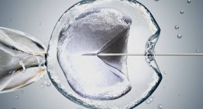 reproductive medicine, image of IVF research